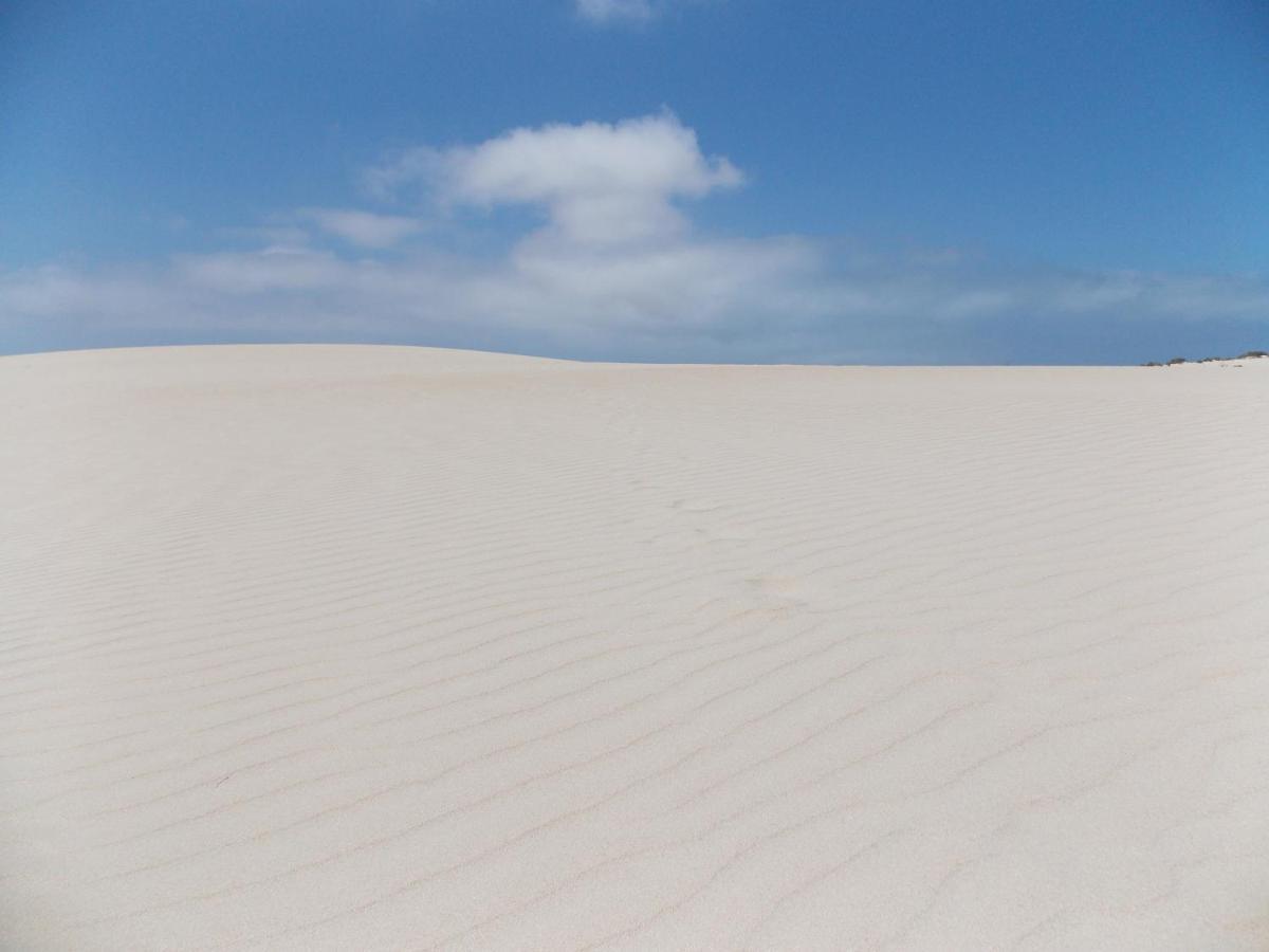 Cotillo Pent House Ocean View 아파트 외부 사진