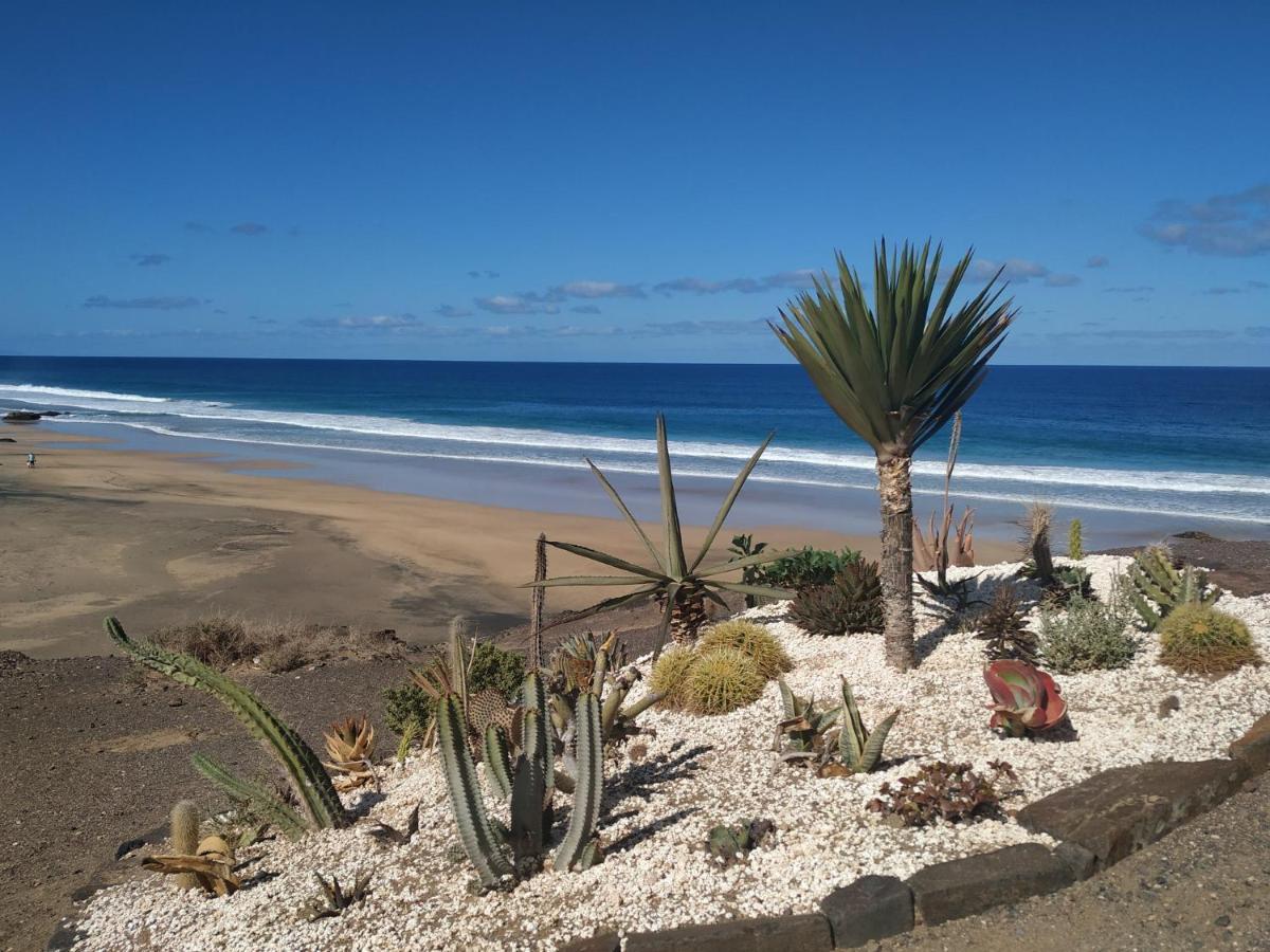Cotillo Pent House Ocean View 아파트 외부 사진